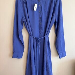 LOFT Royal Blue Long Sleeve Dress